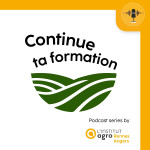 Continue ta formation !