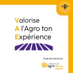 VAE - épisode 02