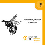 Apiculteur, éleveur d’abeilles
