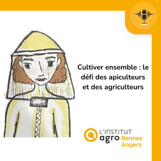 Cultiver ensemble : le défi des apiculteurs et des agriculteurs