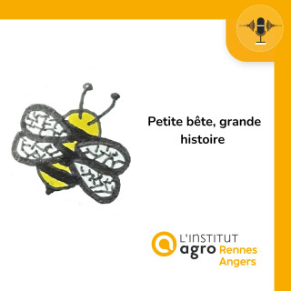 Petite bête, grande histoire