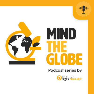 Mind the Globe