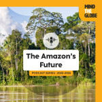 The Amazon's Future - Strategies to Scale Up the Forest Restoration with Pr. Ana Catarina Jakovac