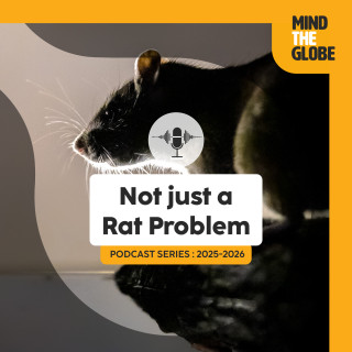 Not Just a Rat Problem: Christophe Diagne on Rodents, Invasions & Zoonotic Risk