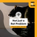 Not Just a Rat Problem: Christophe Diagne on Rodents, Invasions & Zoonotic Risk